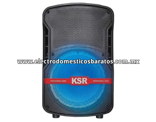 Bocina Amplificada Económica Kaisercon Bluetooth